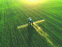 Calcium Carbonate Powder in Agriculture