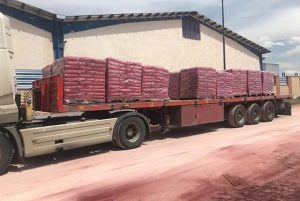 Datson product packaging