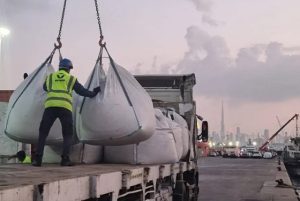 Checking Datson products on the truck