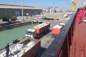 Carrying Datson products