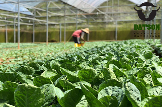 Talc For Agriculture
