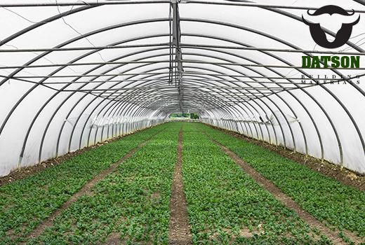 Effect of bentonite as a soil amendment