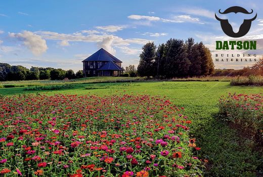 Use of Talc in Seed Coatings for Improved Germination