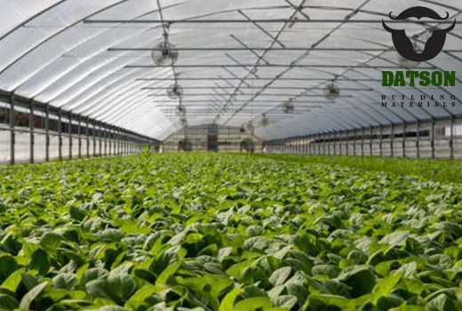 Using Bentonite Clay in Soils 