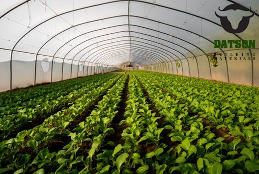 calcium carbonate in agriculture