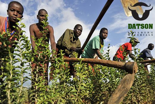 calcium carbonate for soil